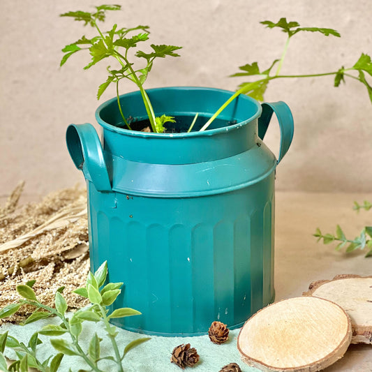 How to grow plantable pens | Learn how to plant and grow your pens!
