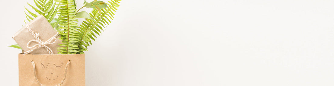 eco-friendly corporate gift ideas