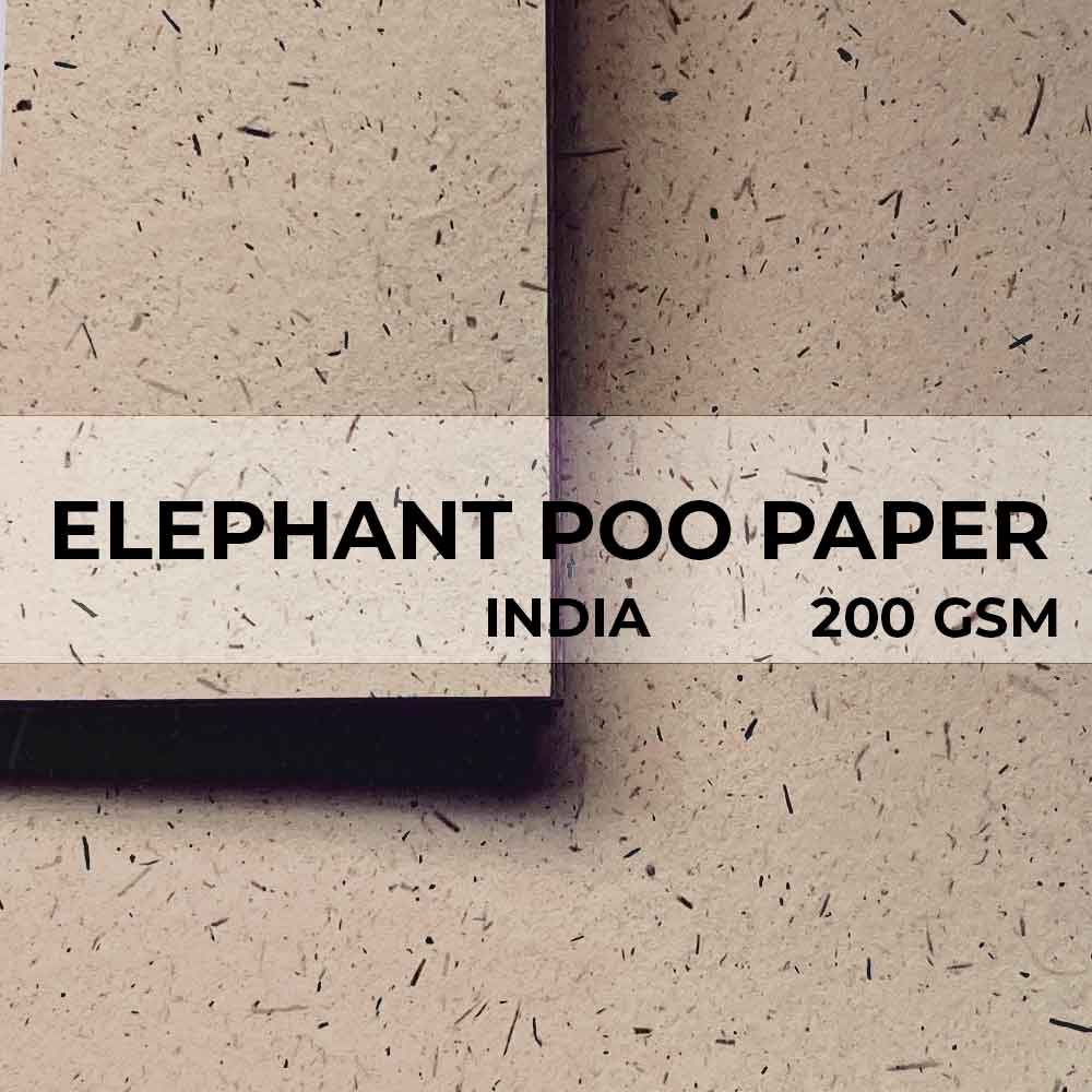 Elephant Poo Paper Little Green Paper Shop
