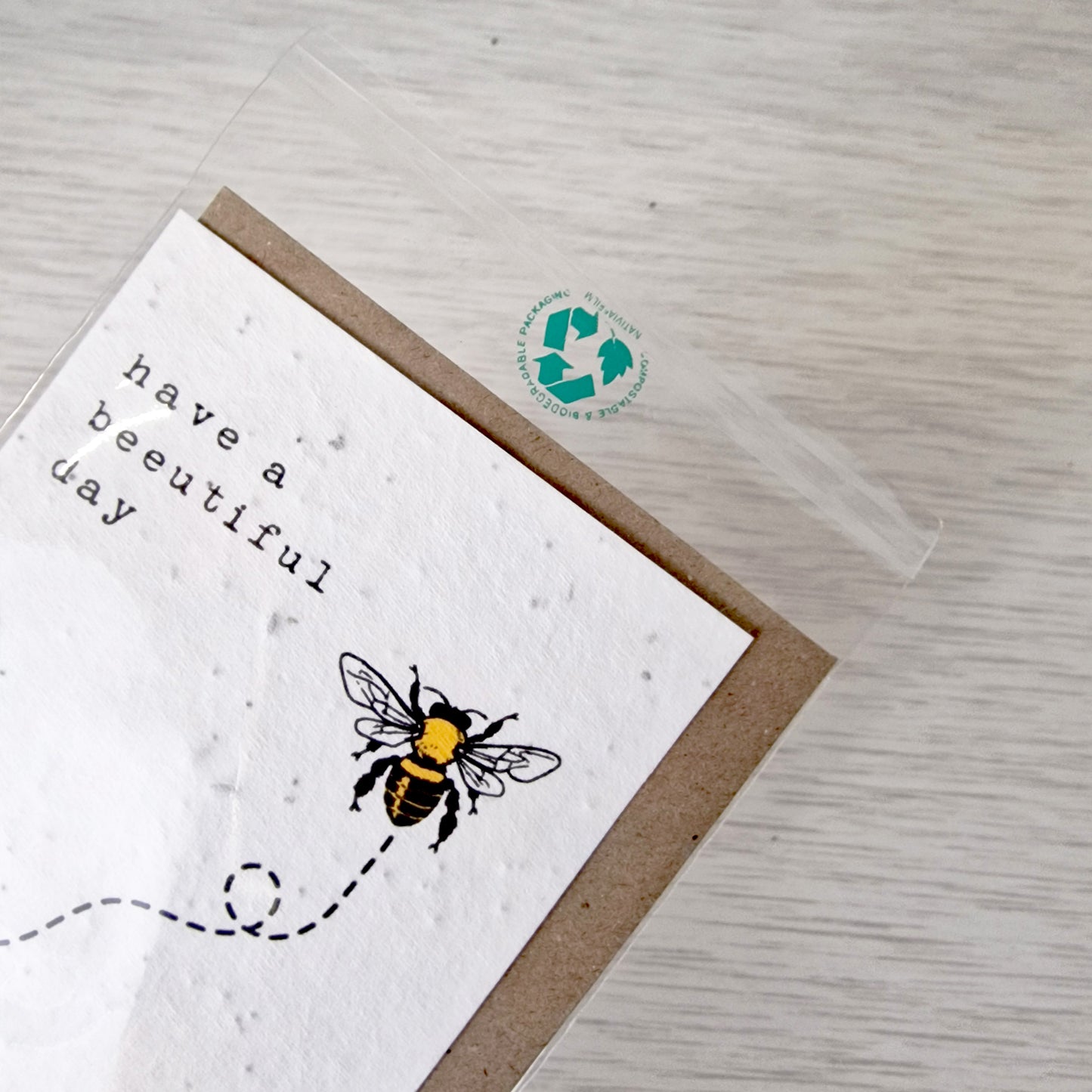 Biodegradable Bags - C6 (pack of 50)