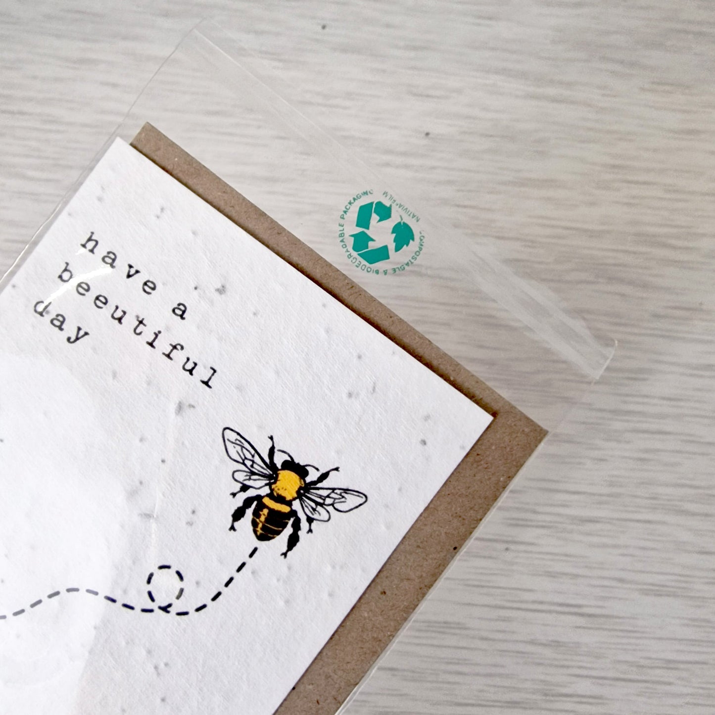 Biodegradable Bags - 6x C6 (pack of 50)
