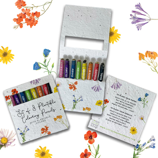 Colouring Pencils - Flowers