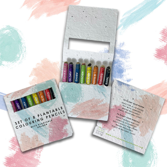 Colouring Pencils - Watercolour