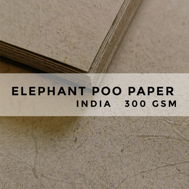 A6 Elephant Poo Paper (India) - 300gsm