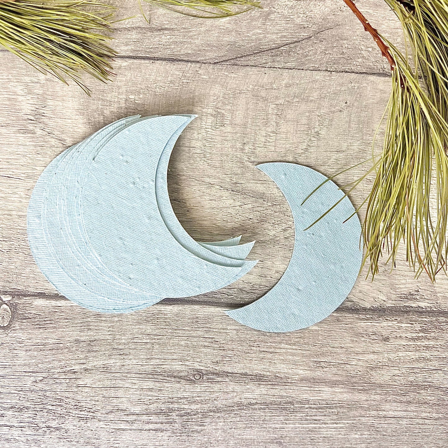 Shapes - Moon