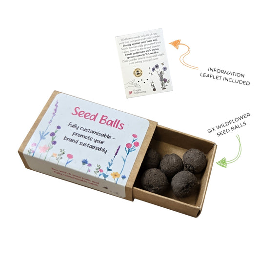 Seed Balls