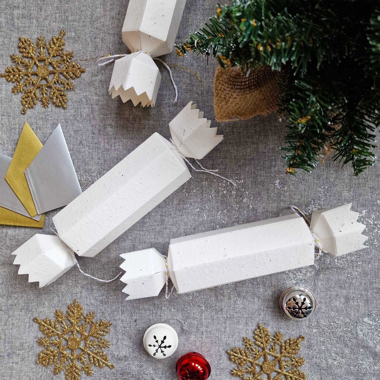 Plantable Seed Paper Seed Paper Crackers (Wholesale) Little Green Paper Shop