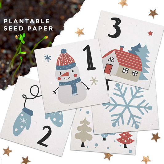 Plantable Seed Paper Seed Paper Desktop Plantable Advent Calendar  Little Green Paper Shop