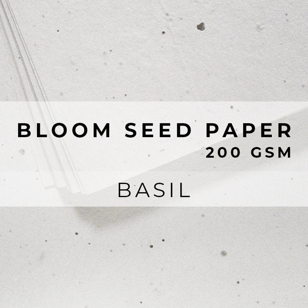 Plantable Seed Paper Bloom Seed Paper - 200gsm Blank Paper Little Green Paper Shop