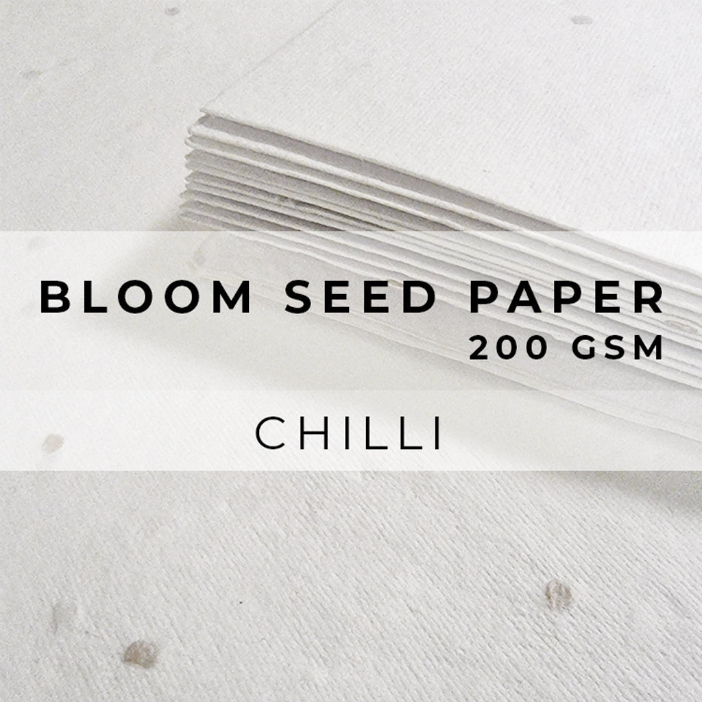 Plantable Seed Paper Bloom Seed Paper - 200gsm Blank Paper Little Green Paper Shop