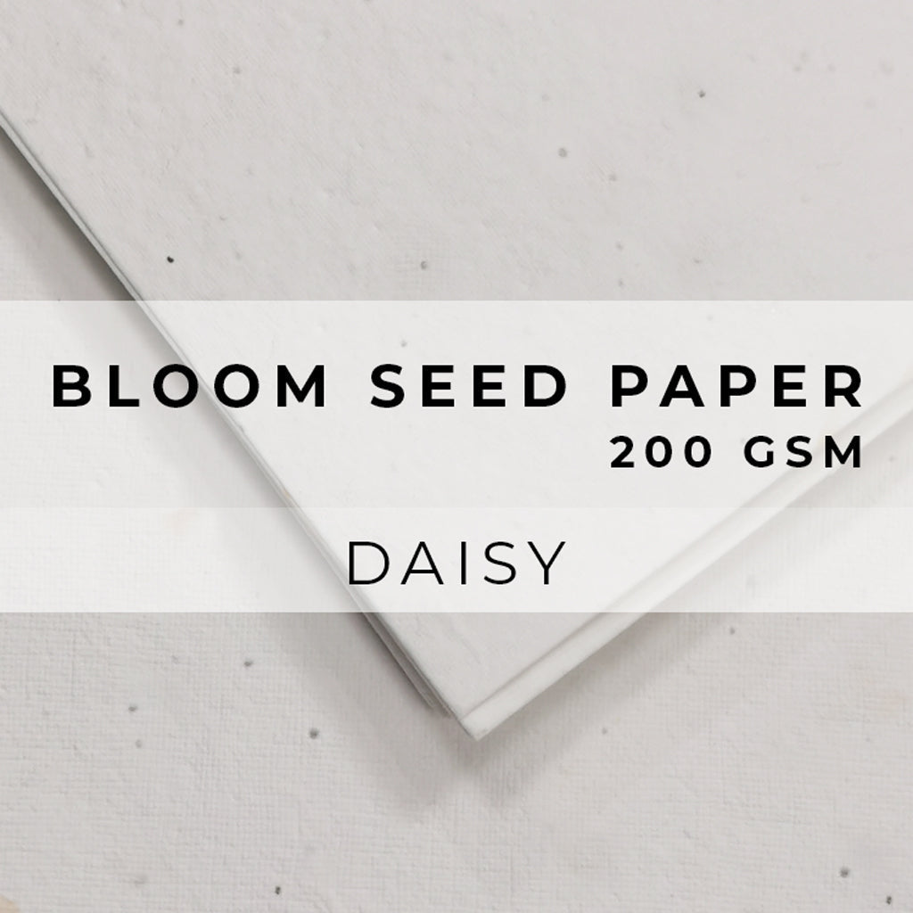 Plantable Seed Paper Bloom Seed Paper - 200gsm Blank Paper Little Green Paper Shop