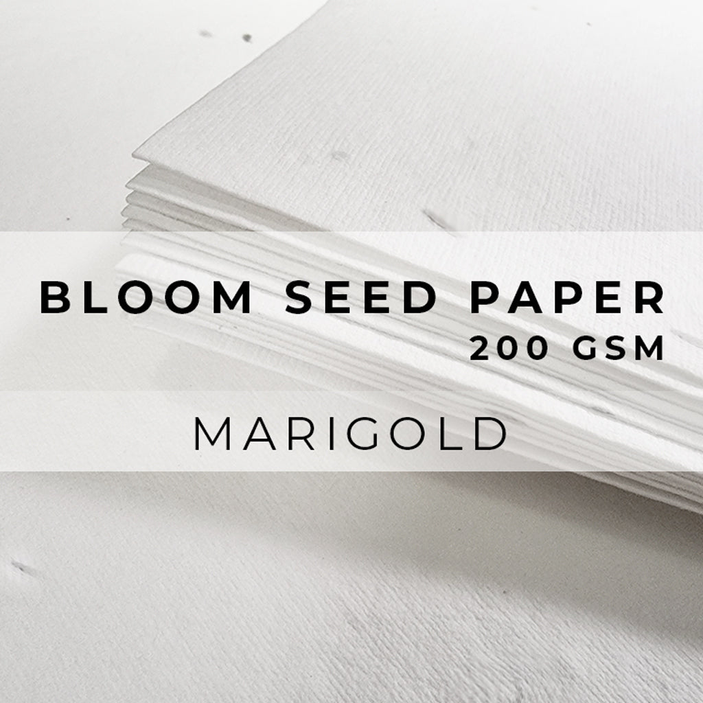 Plantable Seed Paper Bloom Seed Paper - 200gsm Blank Paper Little Green Paper Shop