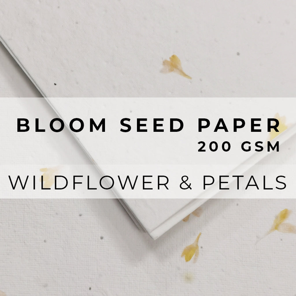 Plantable Seed Paper Bloom Seed Paper - 200gsm Blank Paper Little Green Paper Shop