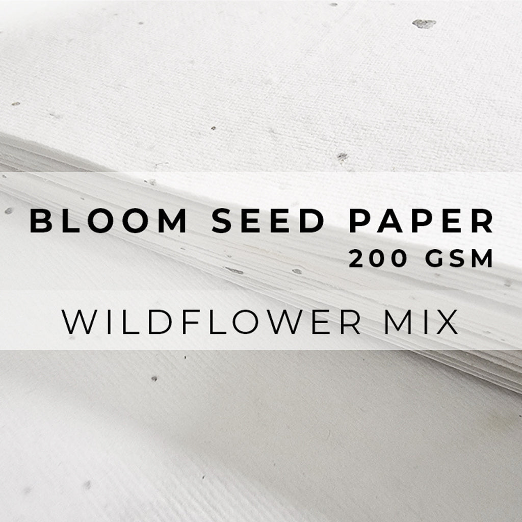 Plantable Seed Paper Bloom Seed Paper - 200gsm Blank Paper Little Green Paper Shop