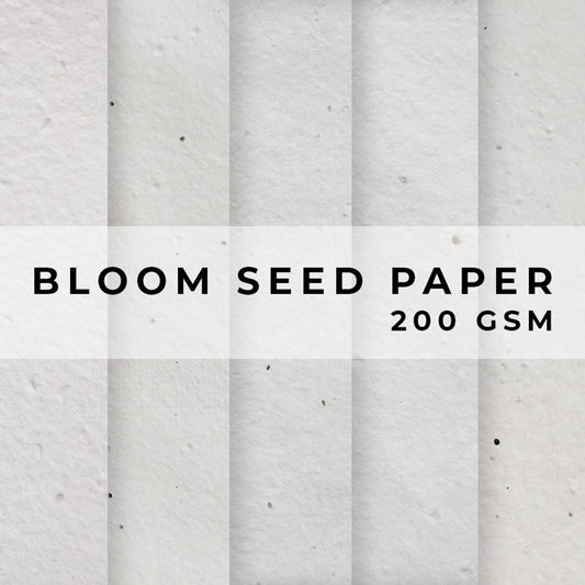 Plantable Seed Paper Bloom Seed Paper - 200gsm Blank Paper Little Green Paper Shop