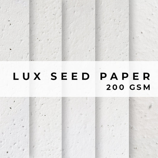Plantable Seed Paper LUX Seed Paper - 200gsm Blank Paper Little Green Paper Shop