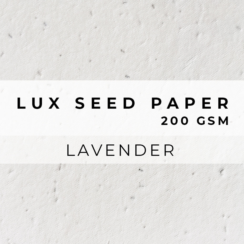 Plantable Seed Paper LUX Seed Paper - 200gsm Blank Paper Little Green Paper Shop