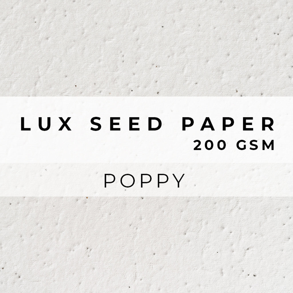 Plantable Seed Paper LUX Seed Paper - 200gsm Blank Paper Little Green Paper Shop