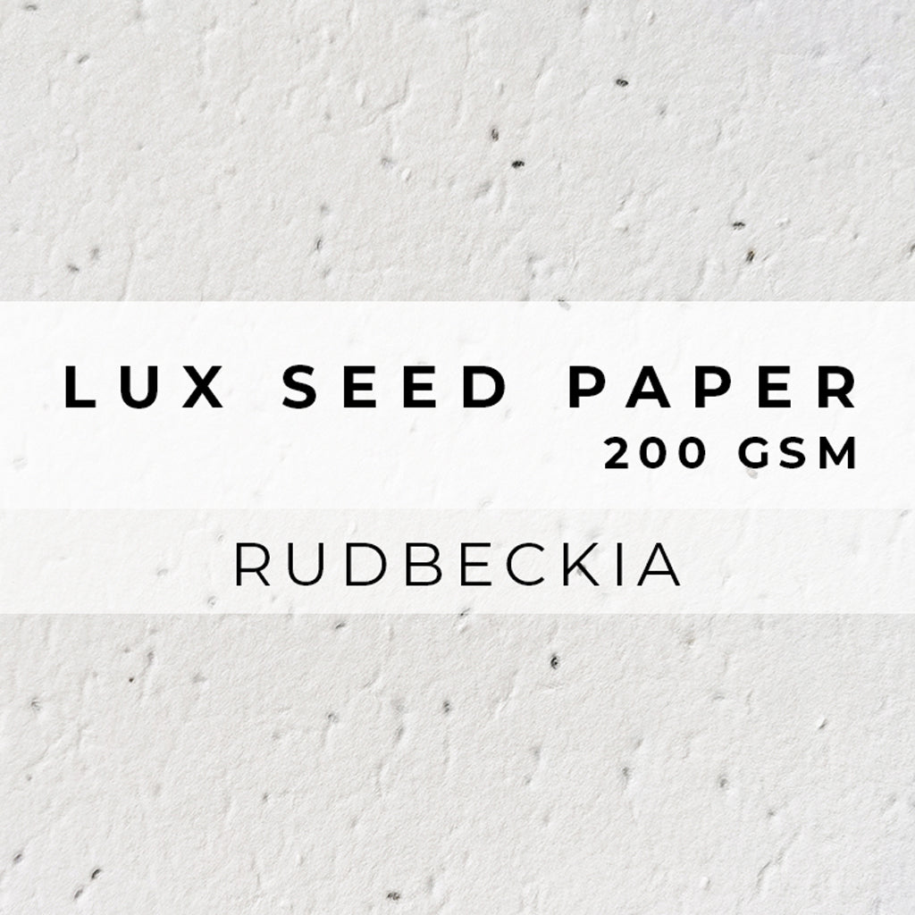 Plantable Seed Paper LUX Seed Paper - 200gsm Blank Paper Little Green Paper Shop