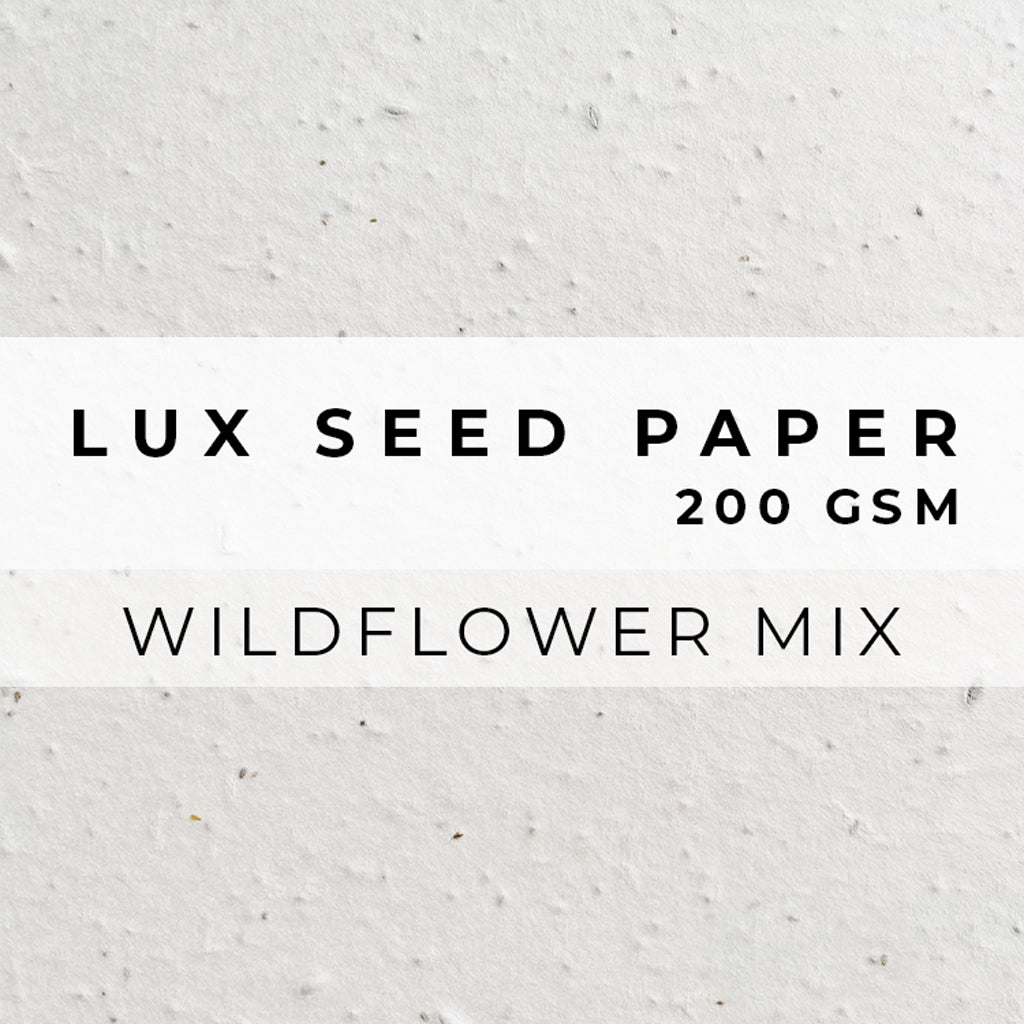 Plantable Seed Paper LUX Seed Paper - 200gsm Blank Paper Little Green Paper Shop