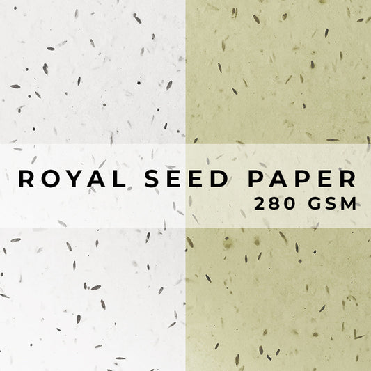 UK Seed Paper ROYAL Plantable Paper - 280gsm Little Green Paper Shop