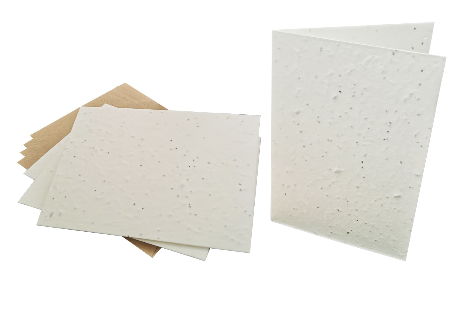 Plantable Seed Paper Blank or Custom SQUARE Greeting Cards Greeting Card Little Green Paper Shop