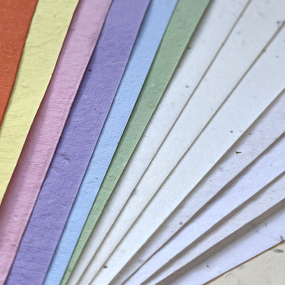 Seed Paper Mixed Sample Pack