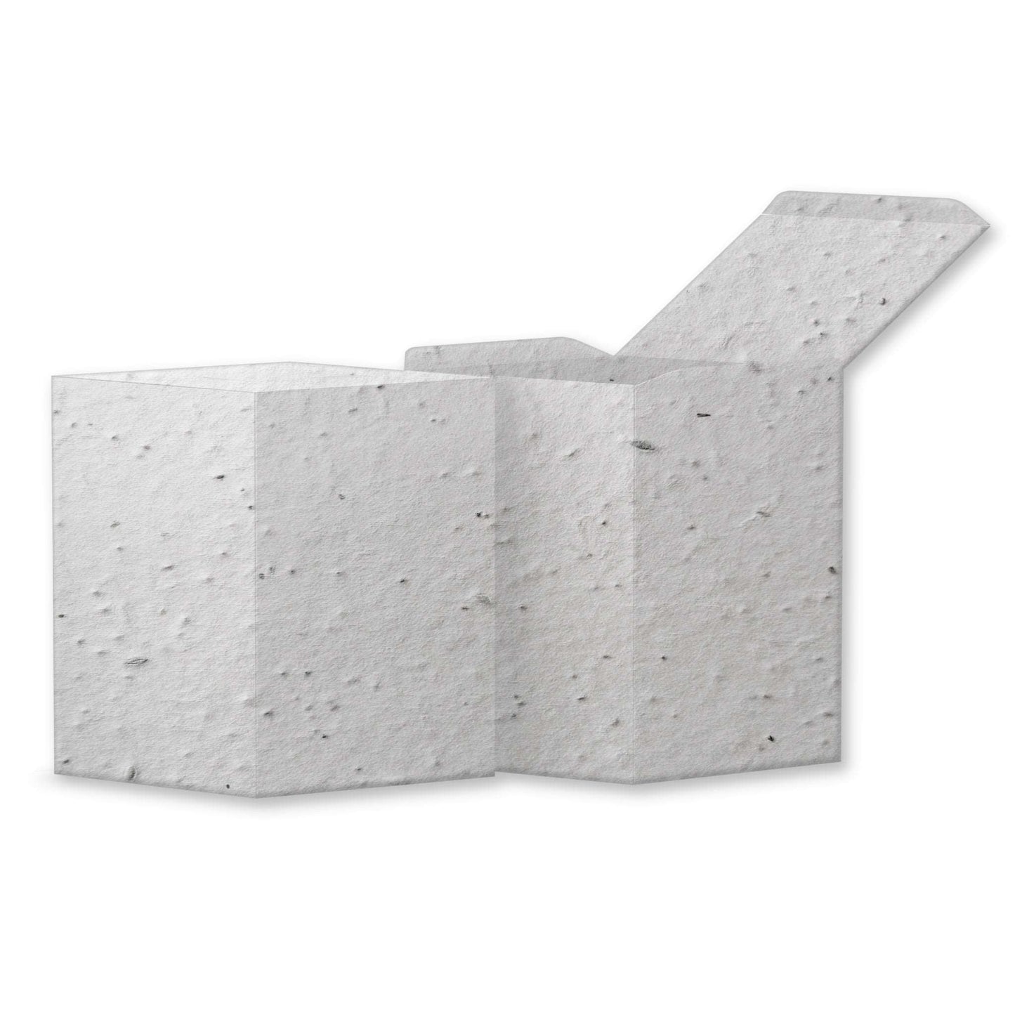 Plantable Seed Paper Seed Paper Square Box - STOCK Little Green Paper Shop