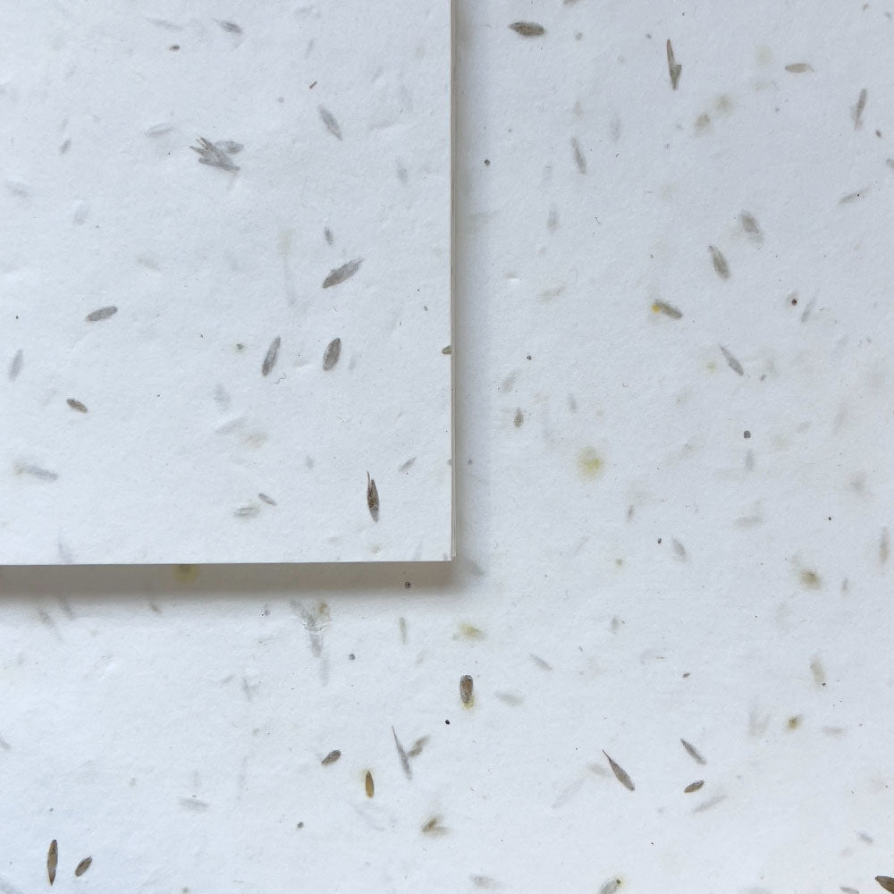 UK Seed Paper ROYAL Plantable Paper - 280gsm Little Green Paper Shop