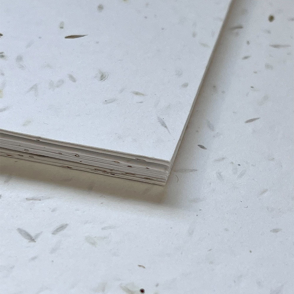 UK Seed Paper ROYAL Plantable Paper - 280gsm Little Green Paper Shop