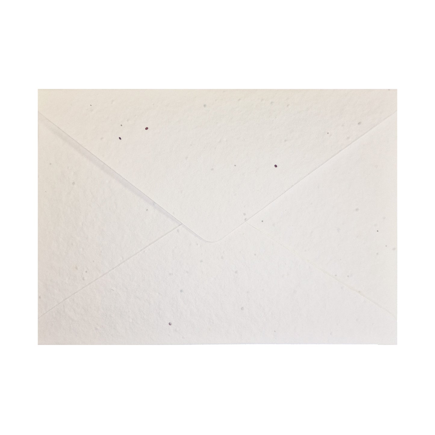 Seed Paper Envelopes