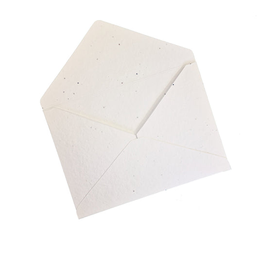 Seed Paper Envelopes