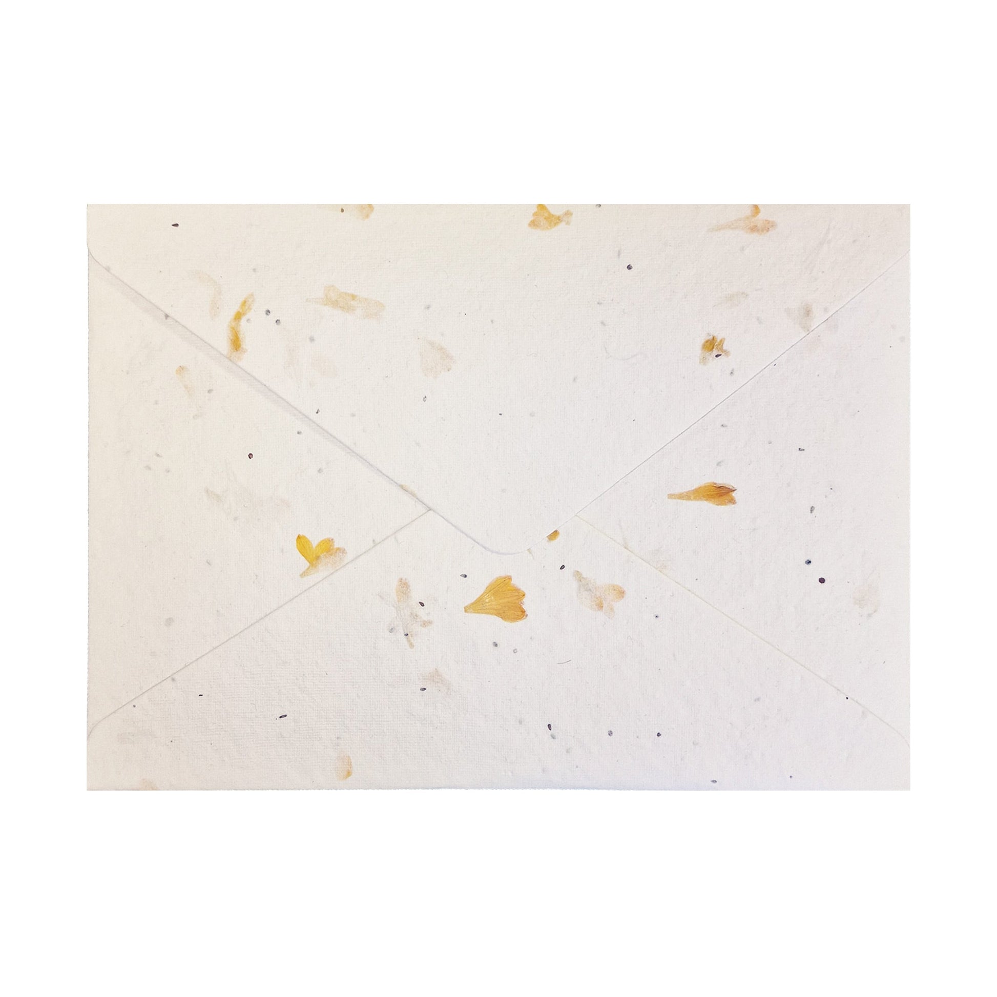 Seed Paper envelopes C5