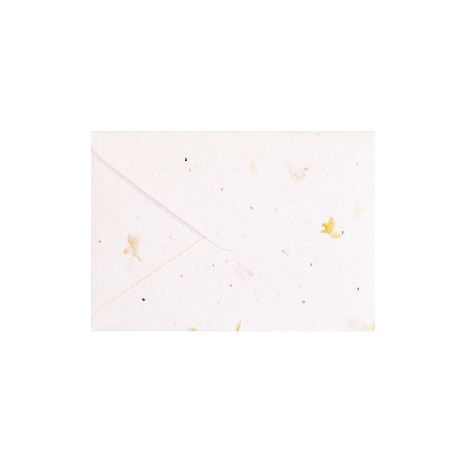 Seed Paper Envelopes C6