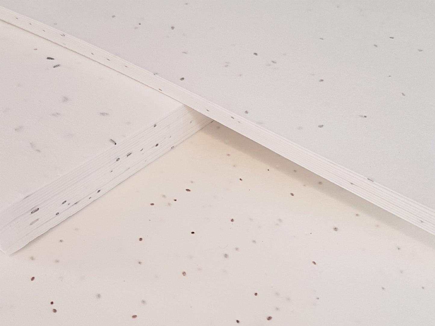 Blank Seed Paper Lux Plantable - 130gsm