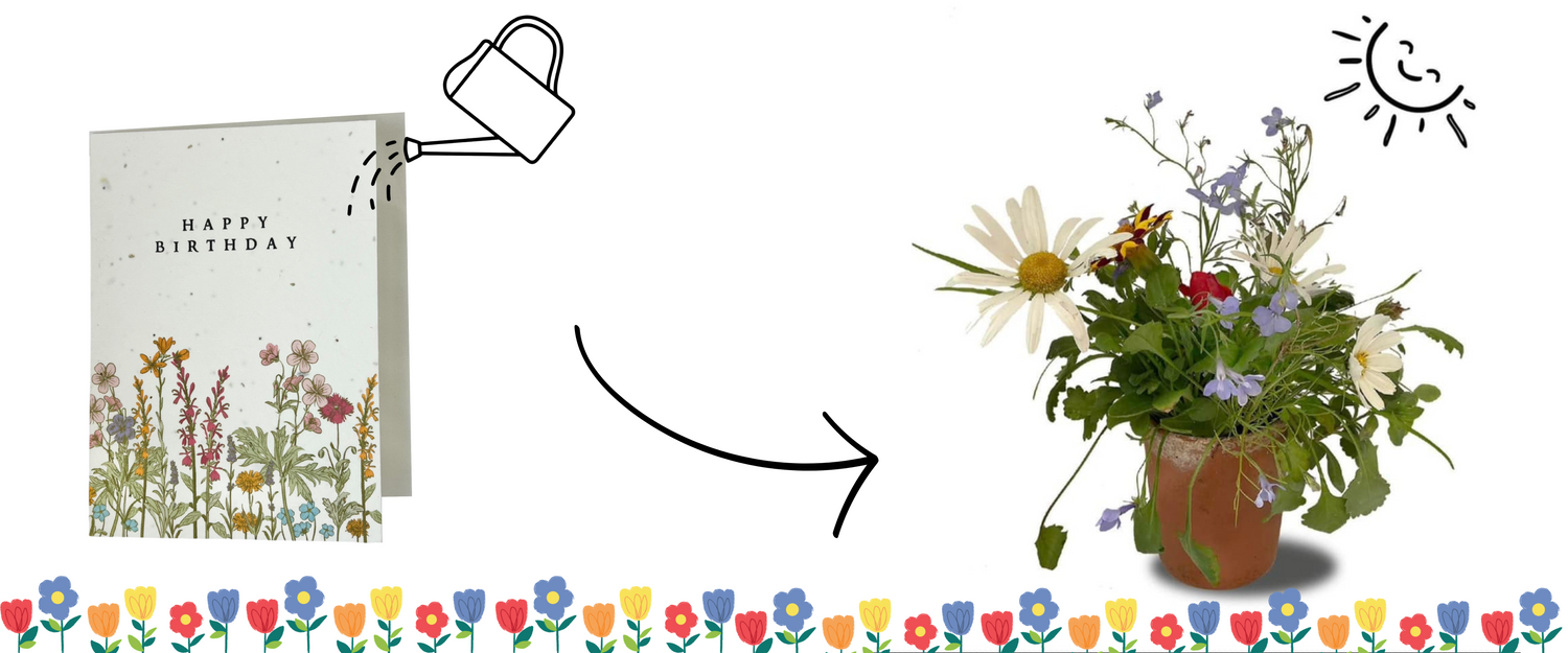 Planting Instructions for Seed Paper Little Green Paper Shop