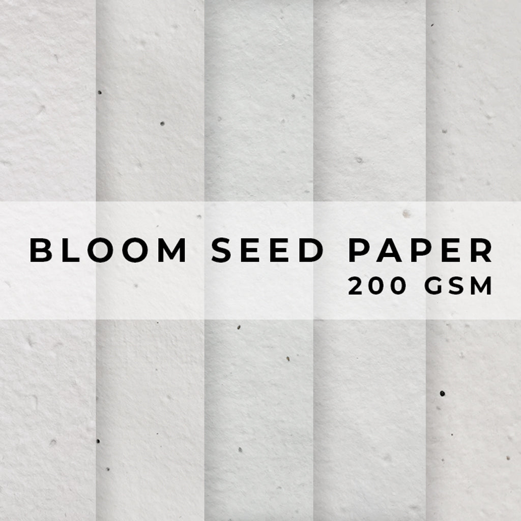 Bloom 200gsm Seed Paper