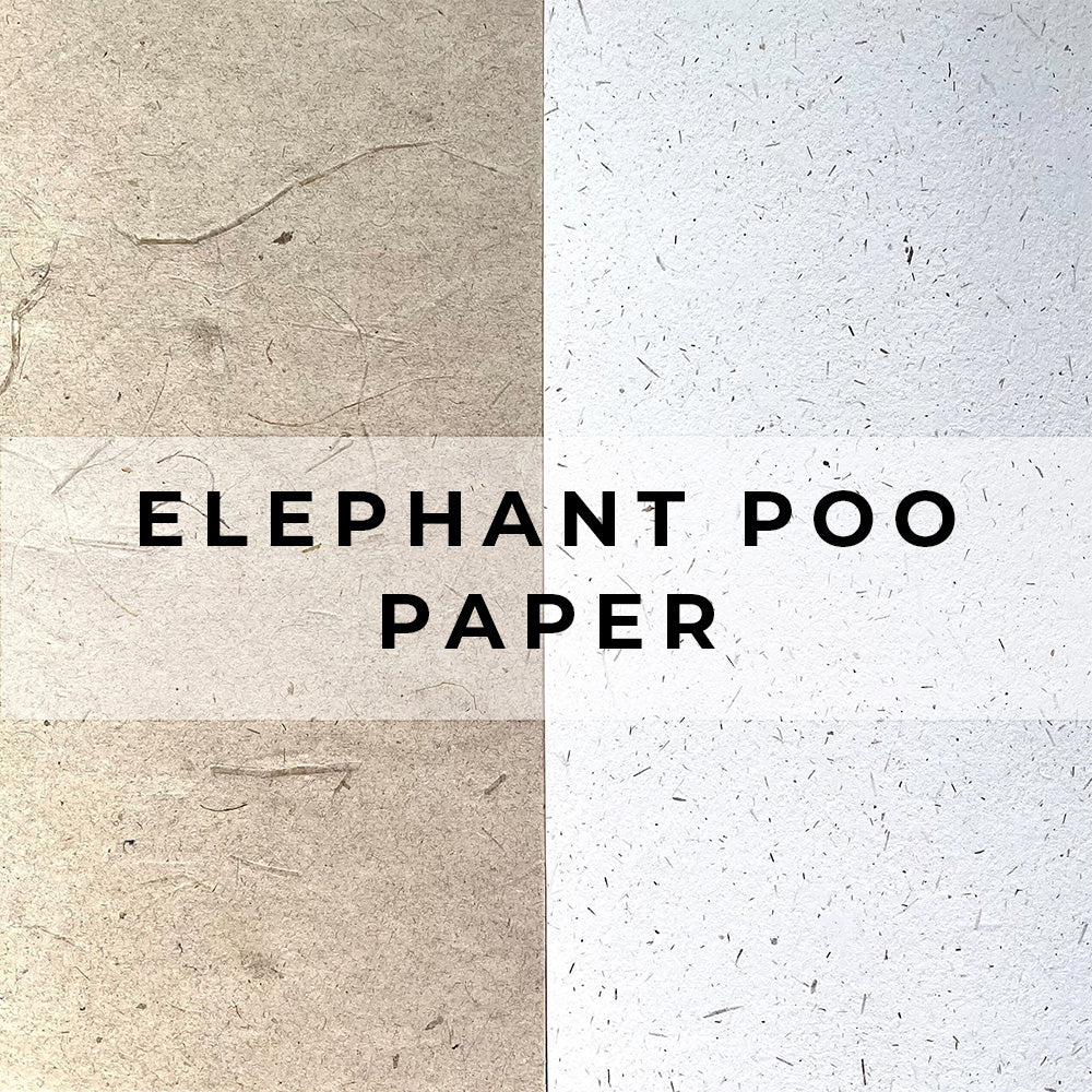 Elephant Poo Paper (non-seeded)