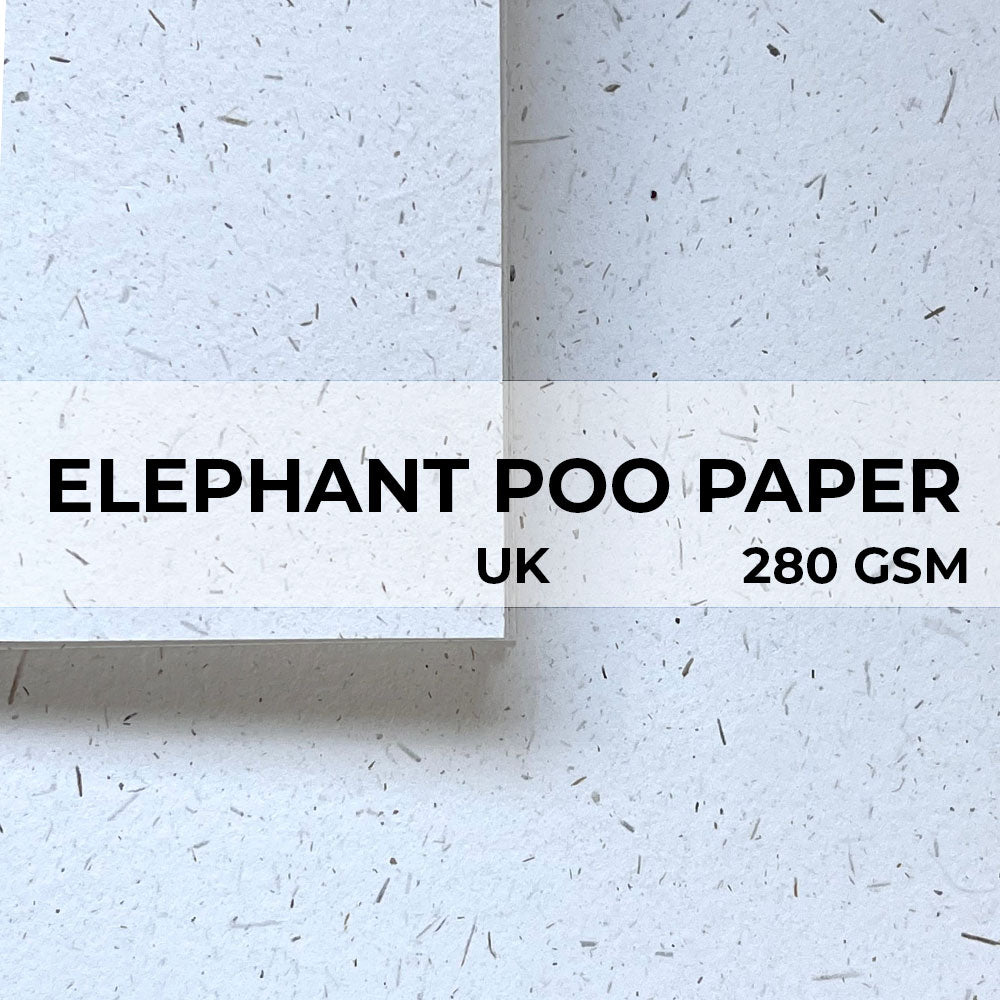 Poopoopaper Elephant Poo Paper | Little Green Paper Shop