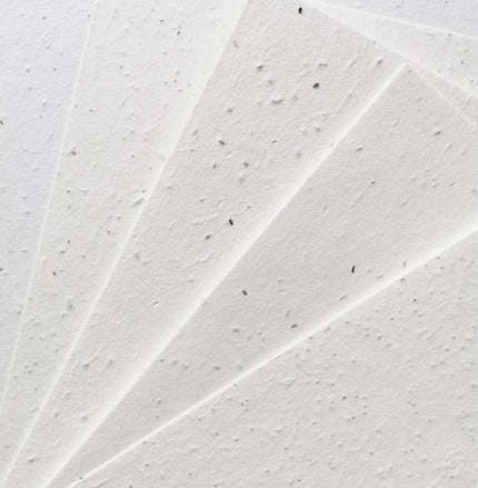 Seed Paper Sheets