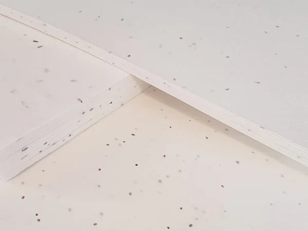 Eco-Friendly Paper