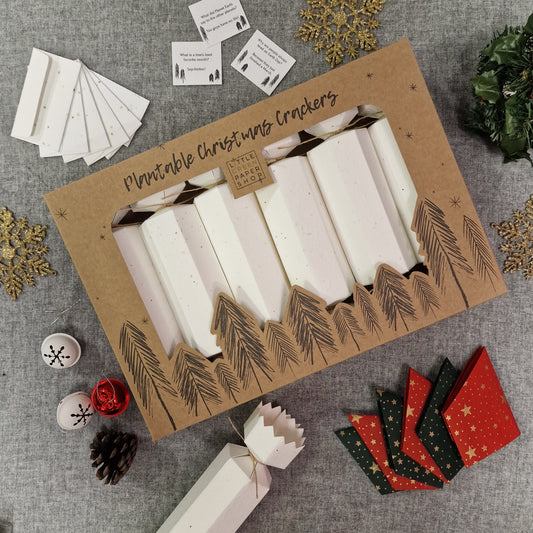 Seed Paper Crackers, Gift, String & Hats - Box of 6