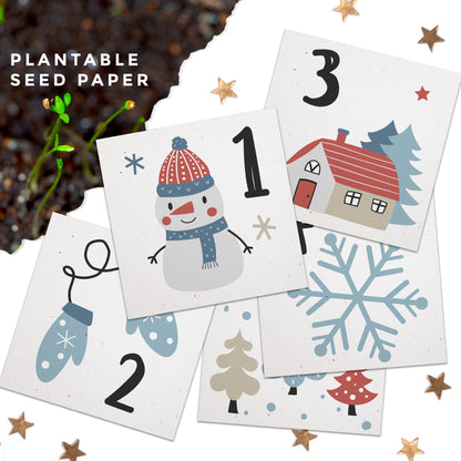 Seed Paper Plantable Advent Calendar