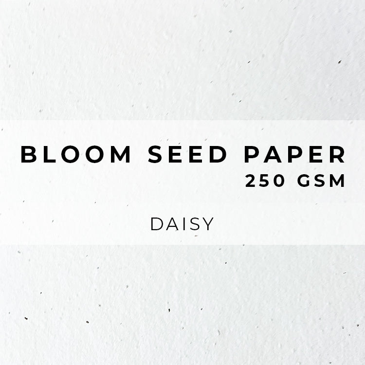 Bloom Seed Paper - 250gsm LAST CHANCE TO BUY
