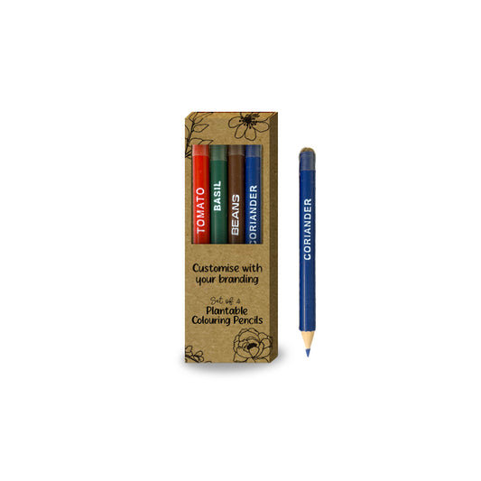 Colouring Pencils Box (Pack of 4) - Custom
