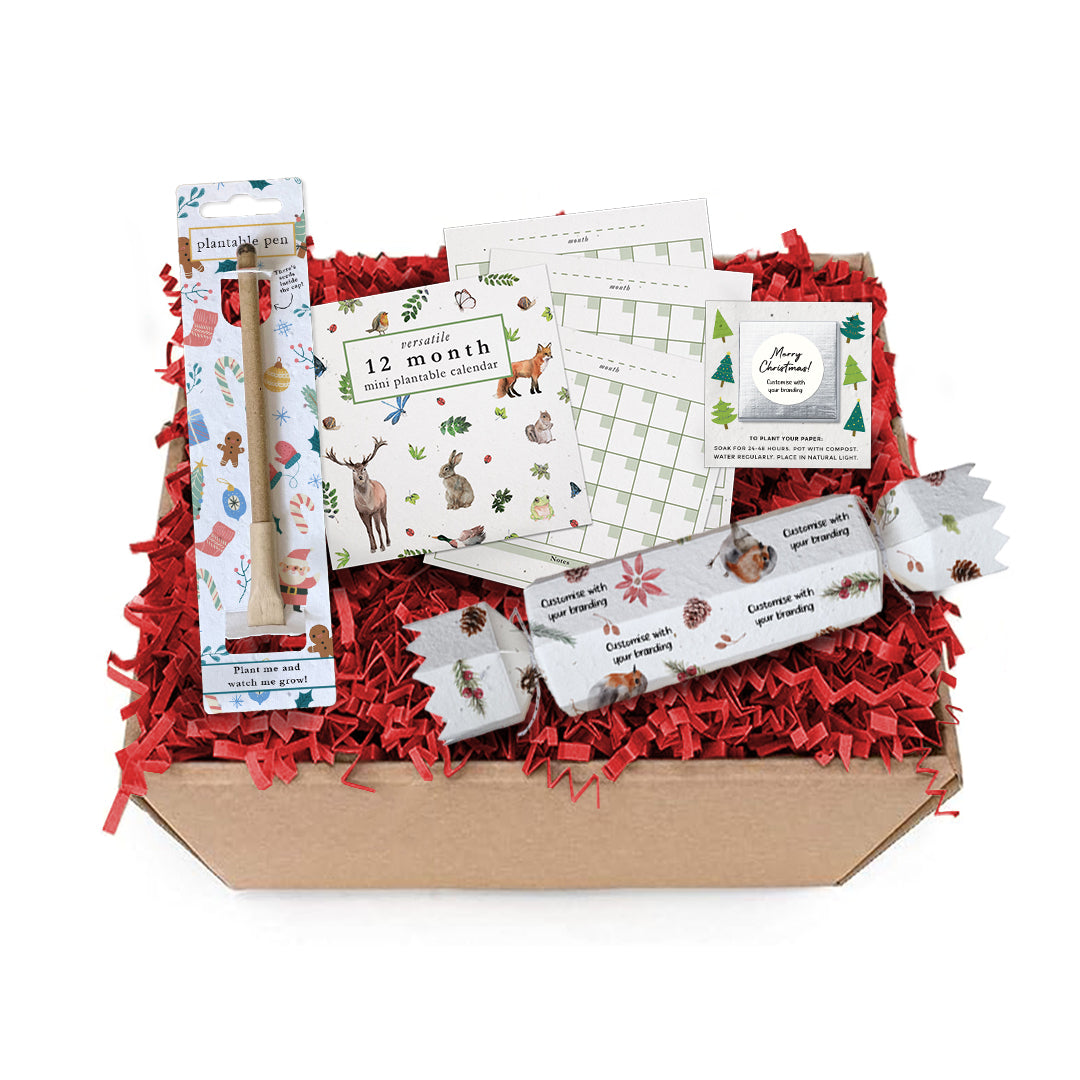 Christmas Gift Box