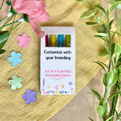 Colouring Pencils (Pack of 4) - Custom