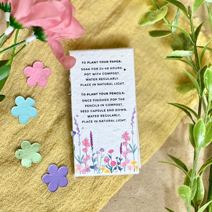 Colouring Pencils (Pack of 4) - Custom