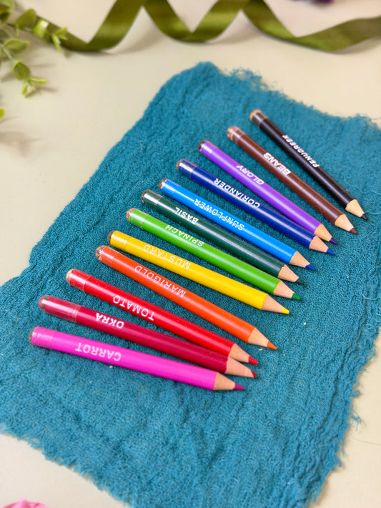 Colouring Pencils (Pack of 12) - Custom