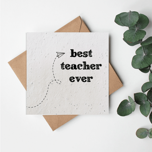 Academics - Paper planes - Best teacher